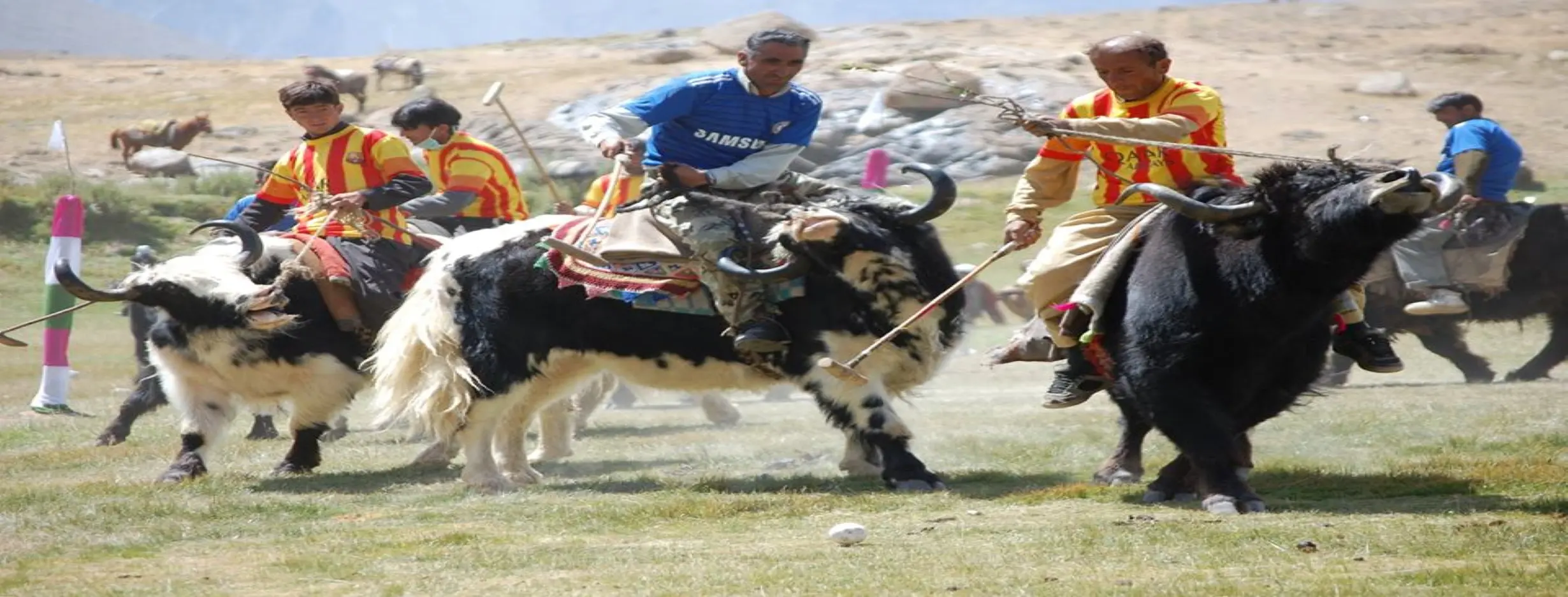 Image for Yak Polo in the Pamir Plateau